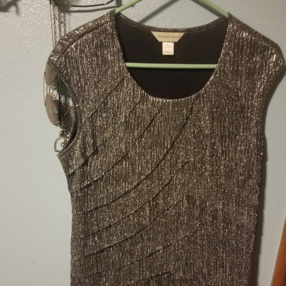 Ladies dress blouse